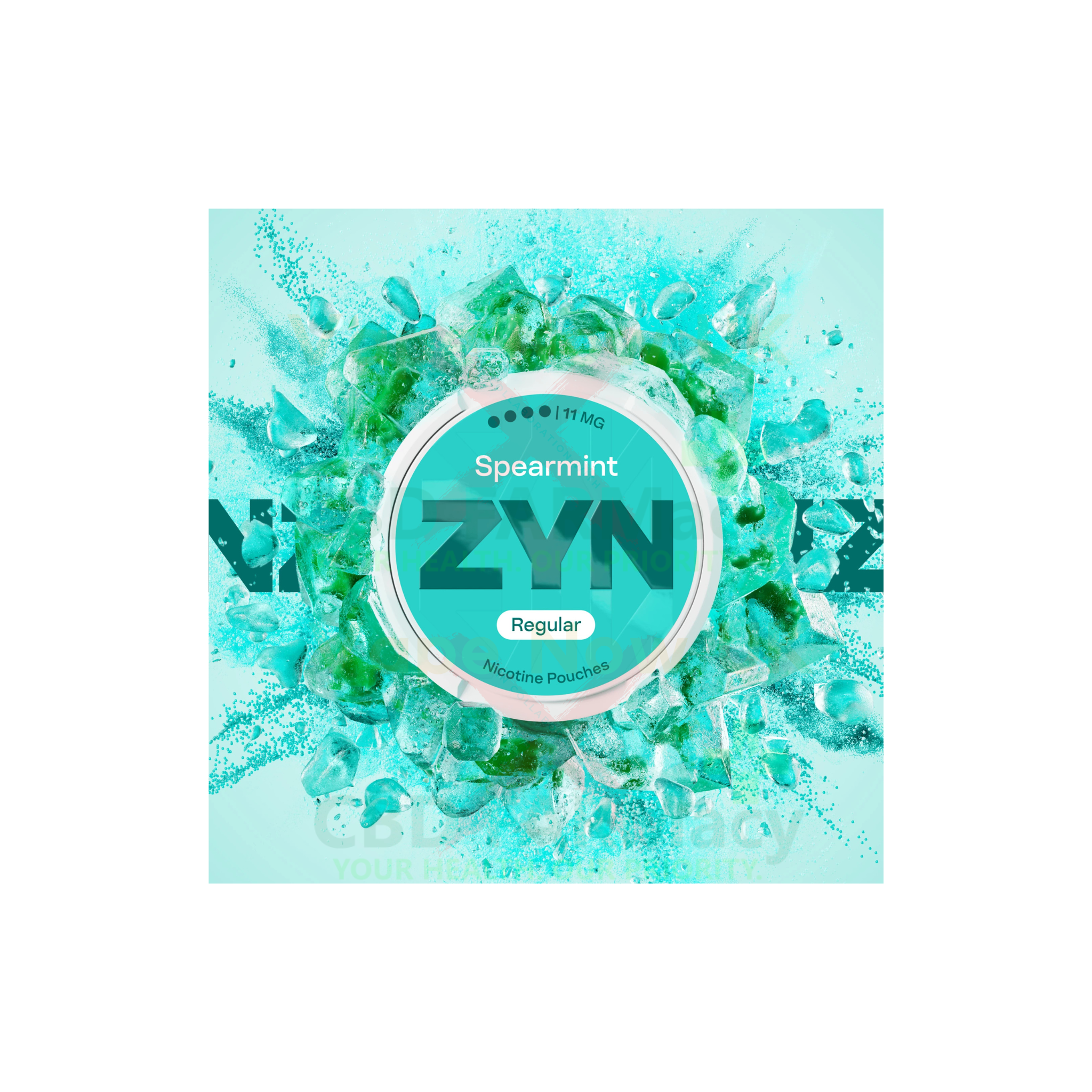 ZYN nicotine pouches spearmint