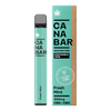 Fresh Mint CANABAR™ Disposable CBD Vape Device 500mg CBD + CBG